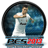 Pro Evolution Soccer 2013 icon