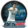 pes 13 icon